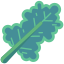 Kale icon