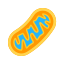 Mitochondrien icon