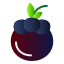 Mangosteen icon