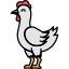 Chicken icon