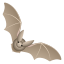 Bat icon