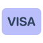 签证 icon