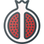 Pomegranate icon