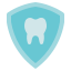 Dental Protection icon