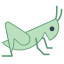 Grasshopper icon