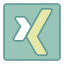 Xing icon