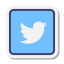 Logo Twitter encadré icon