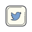 Logo Twitter encadré icon