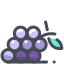 Grapes icon