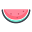 Watermelon icon