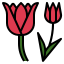 Tulip icon