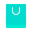 Shopping Bag icon