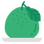 Pomelo icon