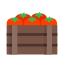 Box of Tomatoes icon