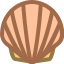 Shellfish icon