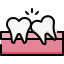 Tooth Wisdom icon
