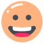 Grinning Face icon