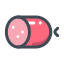 Salami icon