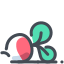 Radish icon