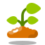 Sprout icon