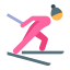 Ski de fond icon