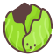 Cabbage icon