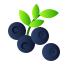 Blueberry icon