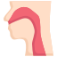 Anatomy icon