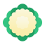 カリフラワー icon