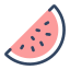 Wassermelone icon