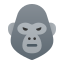 Harambe der Gorilla icon