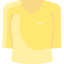 T-shirt icon