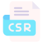 Csr icon