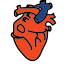 Corazón médico icon