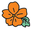 Spa Flower icon