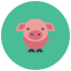 Schwein icon