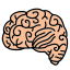 Brain icon