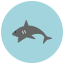 Requin icon