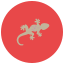 Salamander icon