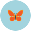 Papillon icon