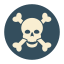 Skull Crossbones icon