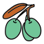 Aceituna icon