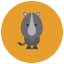 Nashorn icon
