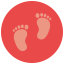 Baby Footprint icon