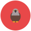 Falcon icon