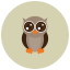 Owl icon