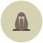 Walrus icon