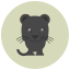 Jaguar noire icon