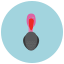 Turkeycock icon