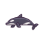 Killer Whale icon